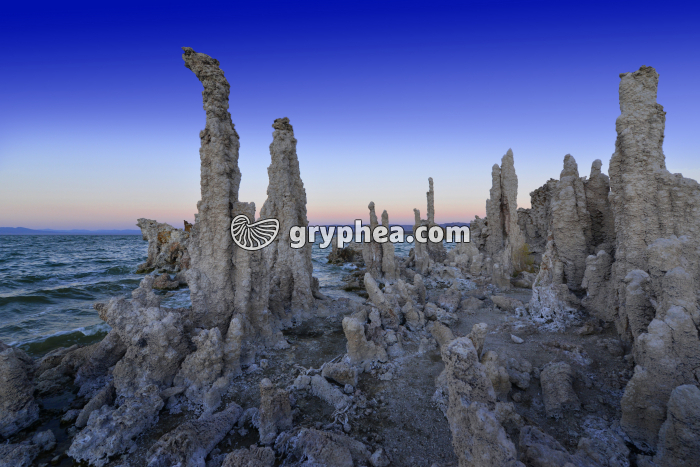Tufa sur les bords de Mono Lake (California, USA) - gryphea.org